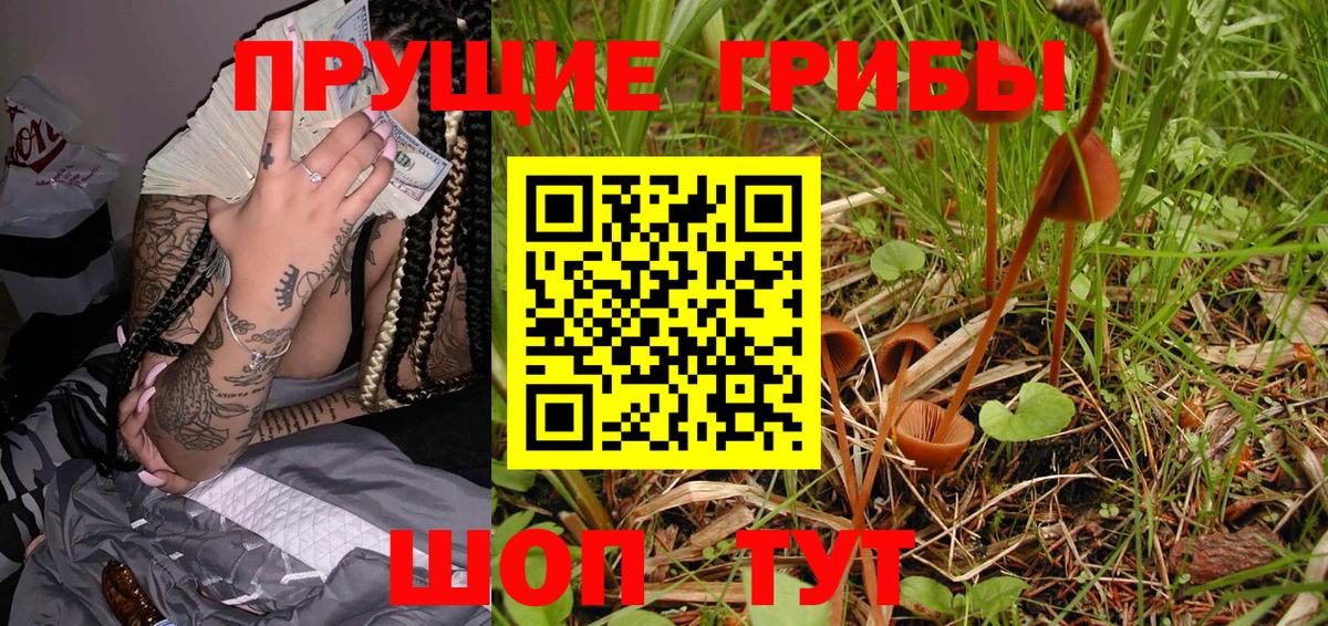 Алушта  Галлюциногенные грибы Psilocybe  Псилоцибиновые грибы MAGIC MUSHROOMS  Вход с VPN 