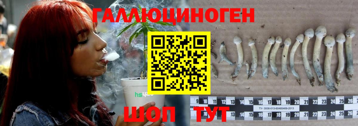 Псилоцибиновые грибы MAGIC MUSHROOMS Алушта